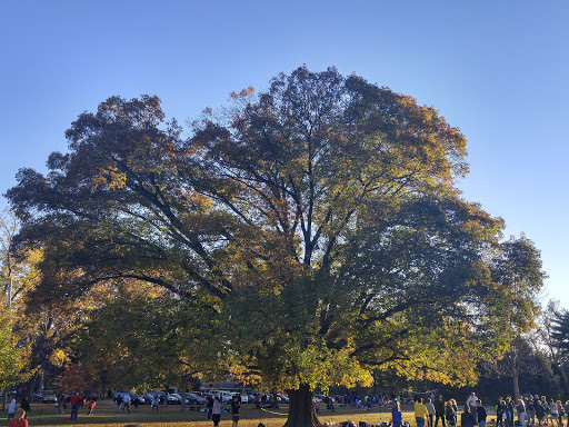 Park «Seneca Park», reviews and photos, 3151 Pee Wee Reese Rd, Louisville, KY 40207, USA