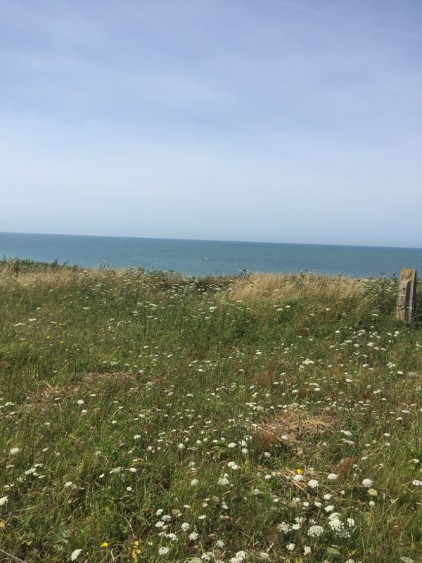 Photo n° 7 de l'avis de Sandrine.r fait le 23/07/2019 à 18:55
