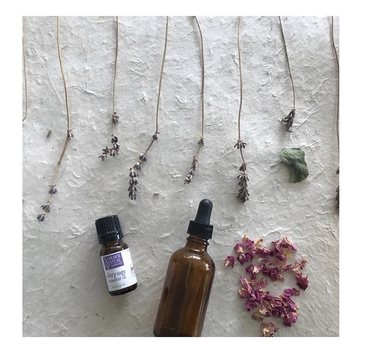 Dharma Skin Spa 77006