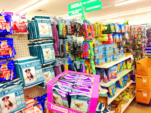 Dollar Store «Dollar Tree», reviews and photos, 2100 US Hwy 641 N, Camden, TN 38320, USA