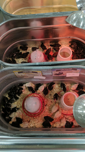 Home Improvement Store «Tractor Supply Co.», reviews and photos, 4601 E Grand River Ave, Howell, MI 48843, USA