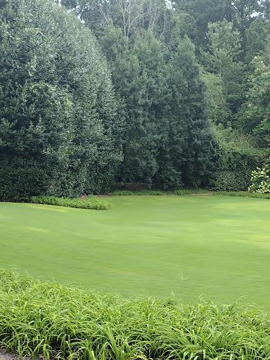 Wedding Venue «Little Gardens», reviews and photos, 3571 Lawrenceville Hwy, Lawrenceville, GA 30044, USA