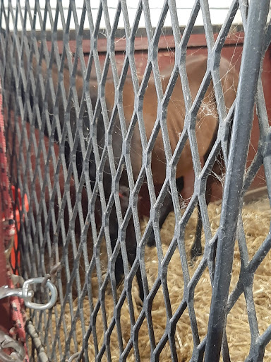 Casino «Hollywood Casino at Charles Town Races», reviews and photos, 580 E 5th Ave, Ranson, WV 25438, USA