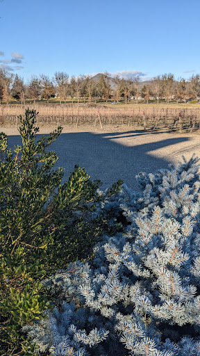 Winery «2 Hawk Vineyard & Winery», reviews and photos, 2335 N Phoenix Rd, Medford, OR 97504, USA