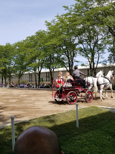 Tourist Attraction «The Tempel Lipizzans», reviews and photos, 17000 W Wadsworth Rd, Old Mill Creek, IL 60083, USA