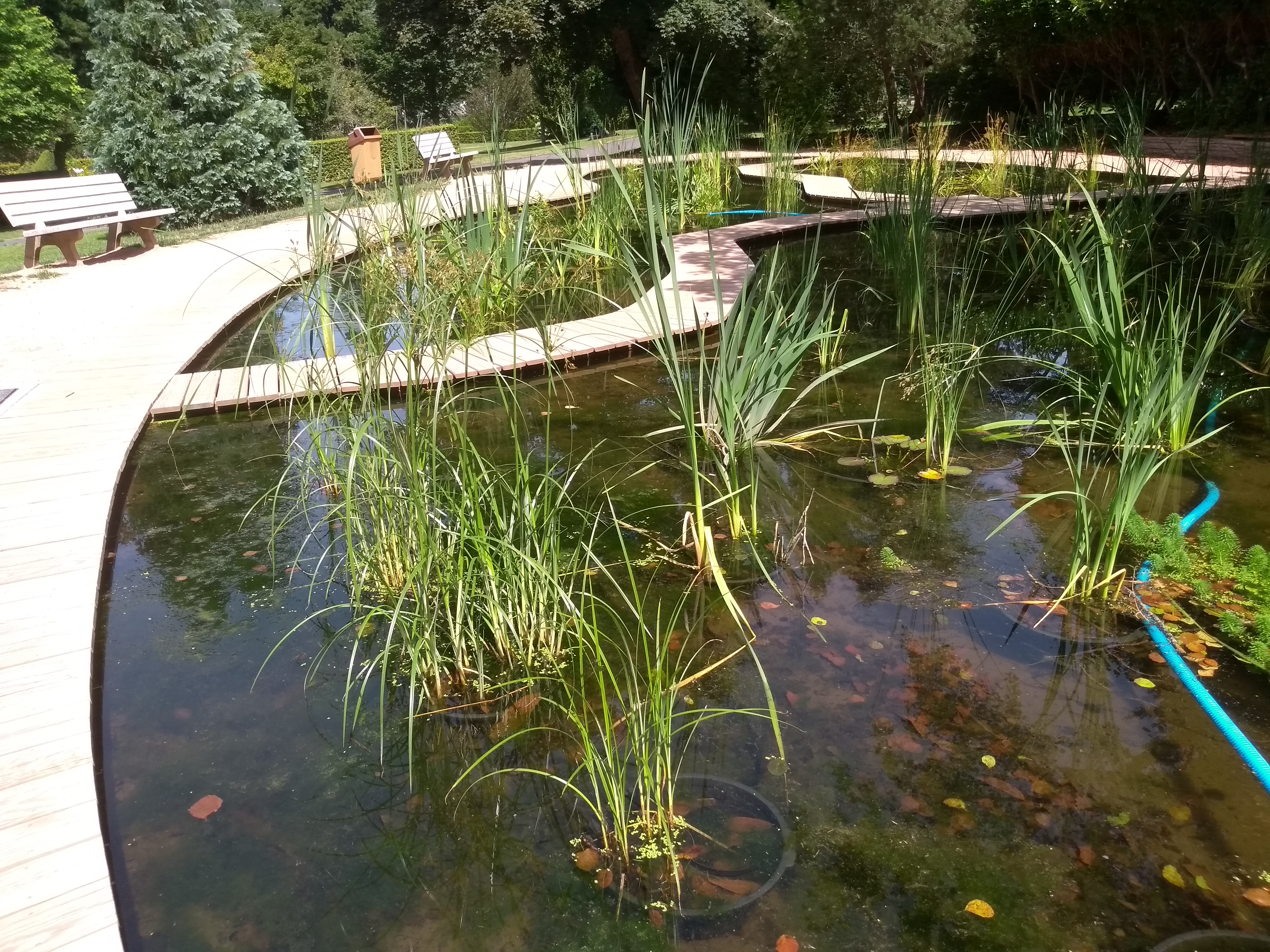 Photo n° 1 de l'avis de Ludo.p fait le 16/08/2018 à 10:22