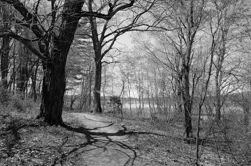 Wildlife Refuge «Great Meadows National Wildlife Refuge», reviews and photos, 73 Weir Hill Rd, Sudbury, MA 01776, USA