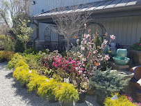 McKinley Garden Center - Photo 5 - Car repair in Mishawaka, IN, South Bend