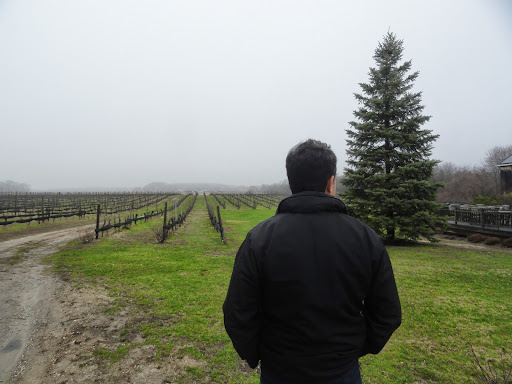 Winery «Paumanok Vineyards», reviews and photos, 1074 Main Rd, Aquebogue, NY 11931, USA