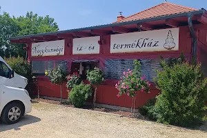 Nagykunsági Íz- és Termékház Étterem image