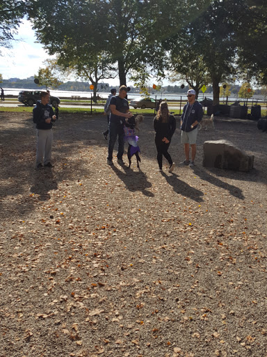 Dog Park «South Boston Bark Park», reviews and photos, 1280 Columbia Rd, Boston, MA 02127, USA