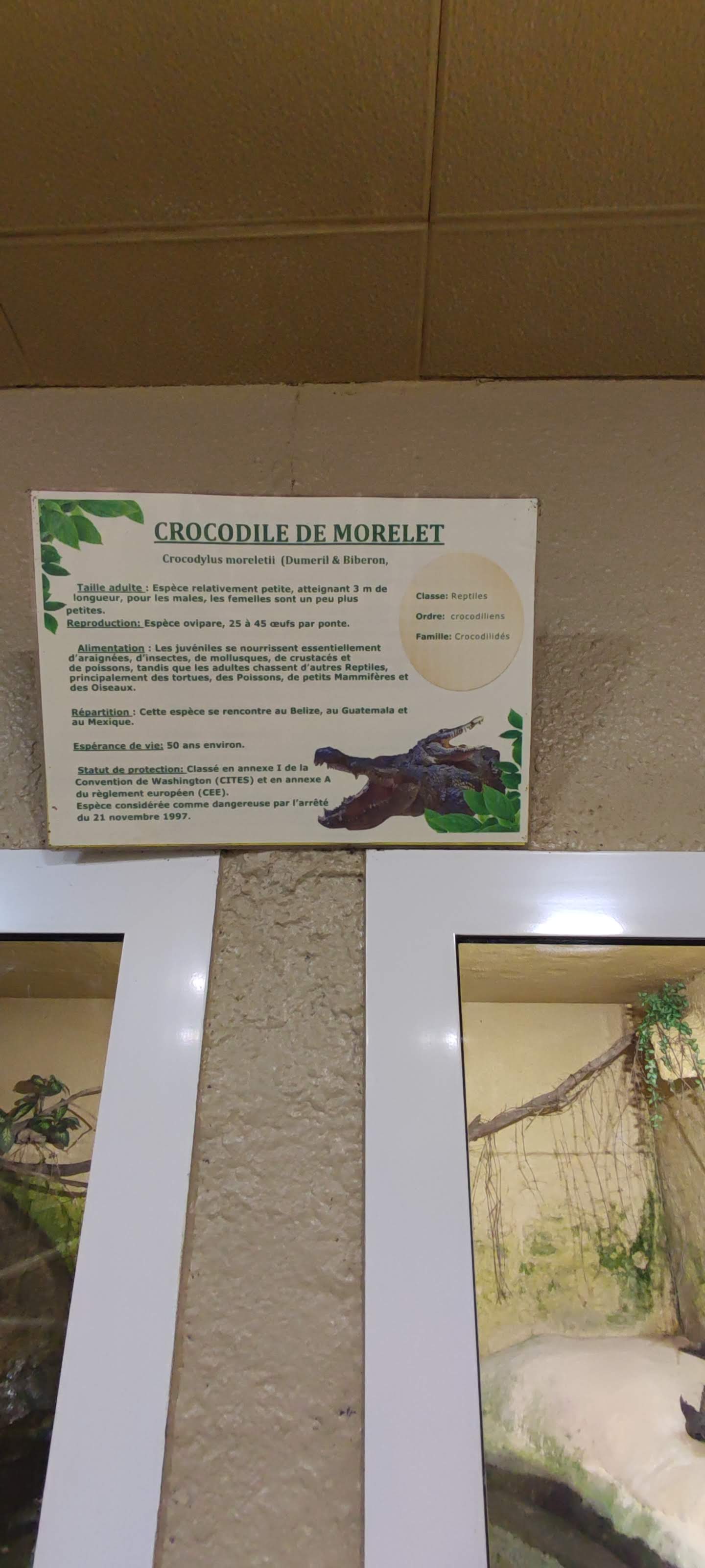 Photo n° 42 de l'avis de Yannick.o fait le 11/02/2023 à 16:29