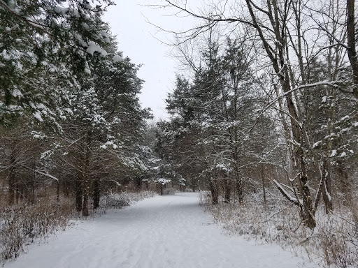 Nature Preserve «Caesar Creek Gorge State Nature Preserve», reviews and photos, 4080 Corwin Rd, Oregonia, OH 45054, USA