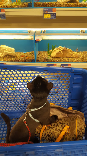 Pet Supply Store «PetSmart», reviews and photos, 291 Skokie Blvd, Northbrook, IL 60062, USA