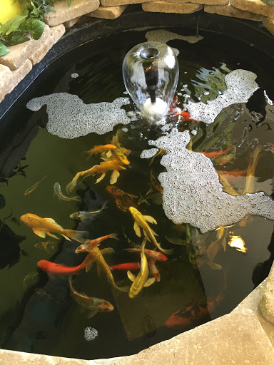 Pet Supply Store «City Pets & Ponds», reviews and photos, 4029 Mill St, Kansas City, MO 64111, USA