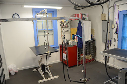 Pet Groomer «Blue Ribbon Dog Grooming LLC Anderson», reviews and photos, 5038 S Scatterfield Rd, Anderson, IN 46013, USA