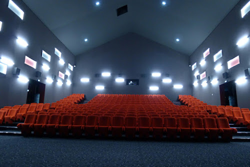Cinéma Ti Hanok à Auray