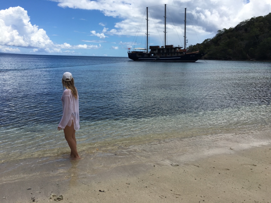 Taveuni Beach'in fotoğrafı çok temiz temizlik seviyesi ile