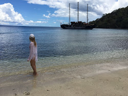 Taveuni Beach'in fotoğrafı çok temiz temizlik seviyesi ile