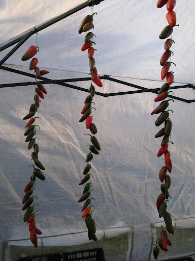 Auto Repair Shop «Willamette Auto Repair», reviews and photos, 625 N 1st St, Woodburn, OR 97071, USA