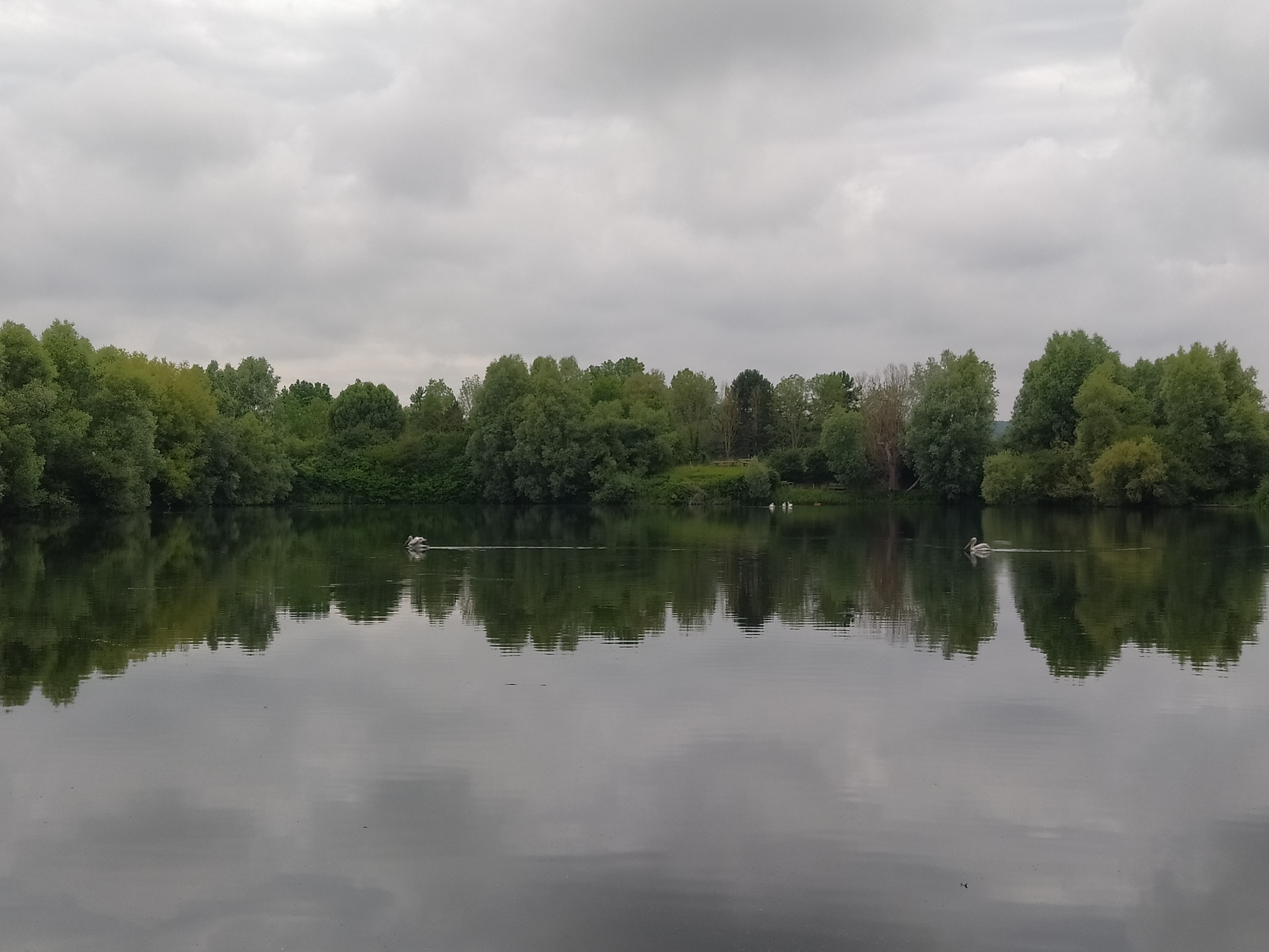Photo n° 12 de l'avis de Marie.a fait le 28/06/2021 à 15:16