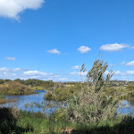 Photo n°1 de l'avis de Andreas.� fait le 12/04/2024 à 14:01 sur le  Restaurante Temperus beach à Quarteira