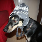 Photo n°4 de l'avis de zander.c fait le 27/02/2022 à 20:11 sur le  Bistro Zander's Nordlicht à Schleswig