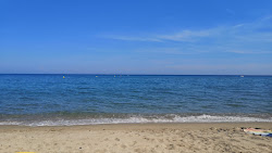 Photo de Plage de Leucate avec rivage droit, long