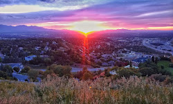 Ferguson Canyon