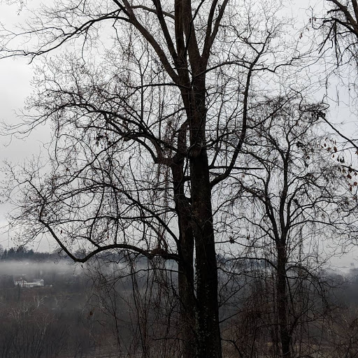 National Park «George Washington Memorial Parkway First Overlook», reviews and photos, George Washington Memorial Pkwy, Arlington, VA 22207, USA