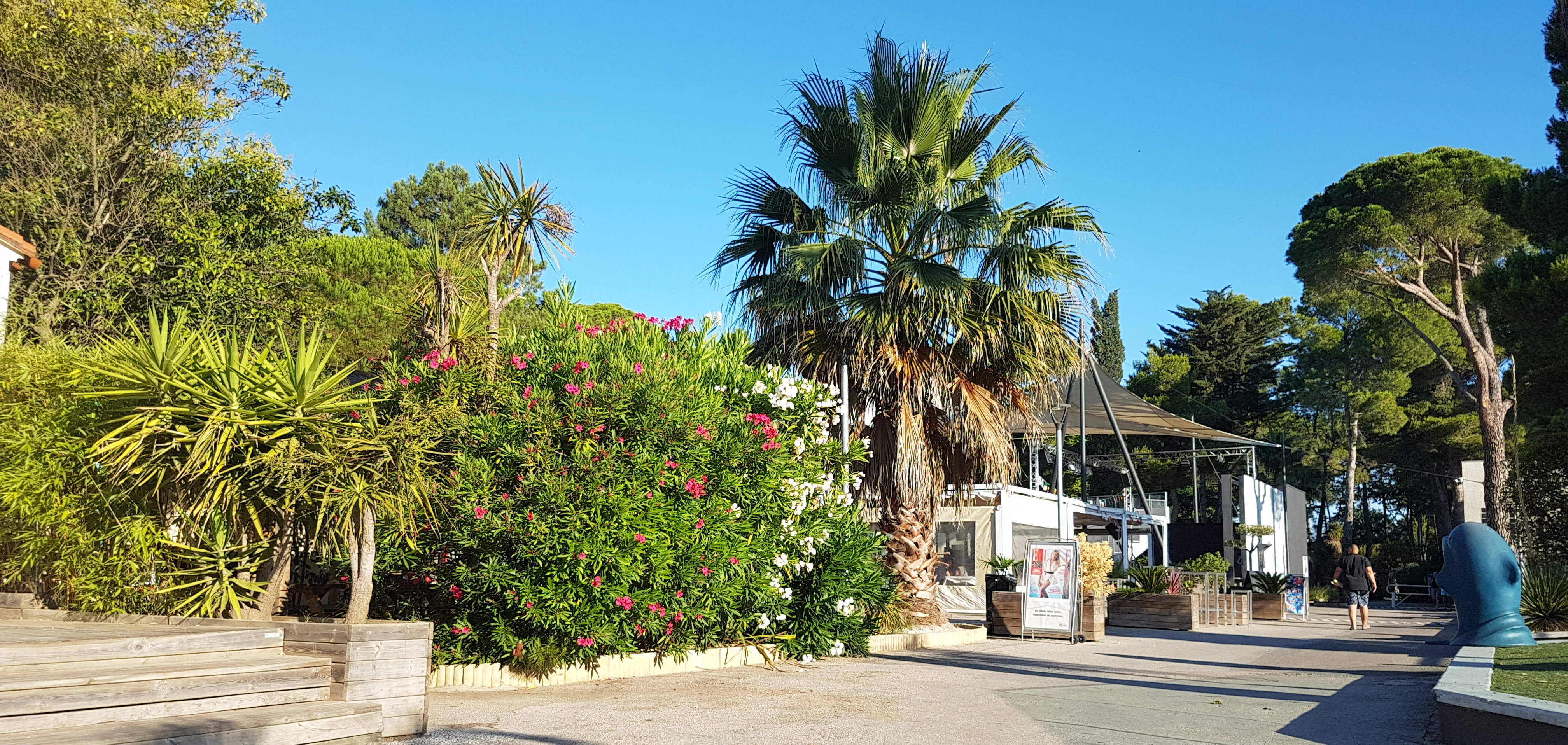 Photo n° 19 de l'avis de Aymeric.i fait le 21/07/2018 à 08:57