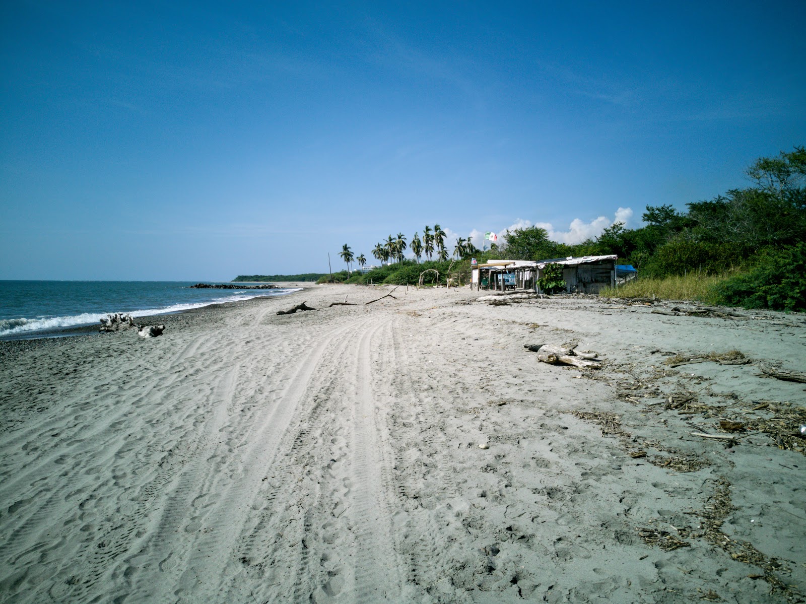 Φωτογραφία του Sea Turtles beach ubicado en área natural