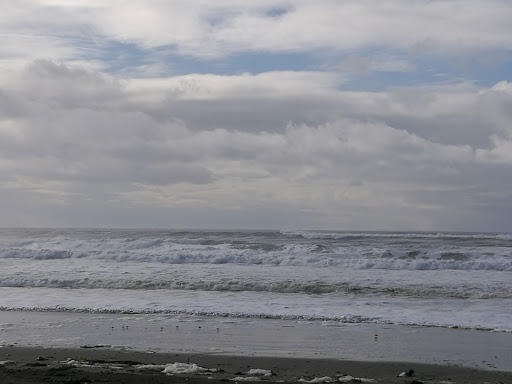 Winery «Cranberry Road Winery», reviews and photos, 2858 S Forrest St, Westport, WA 98595, USA