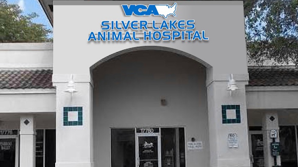 VCA Silver Lakes Animal Hospital