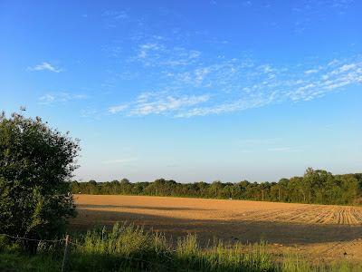 Egeri à Les Achards