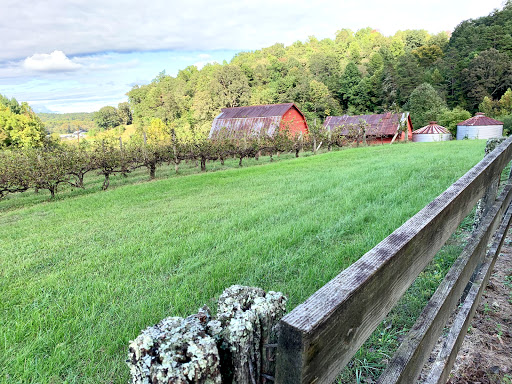 Vineyard «South Creek Winery», reviews and photos, 2240 S Creek Rd, Nebo, NC 28761, USA