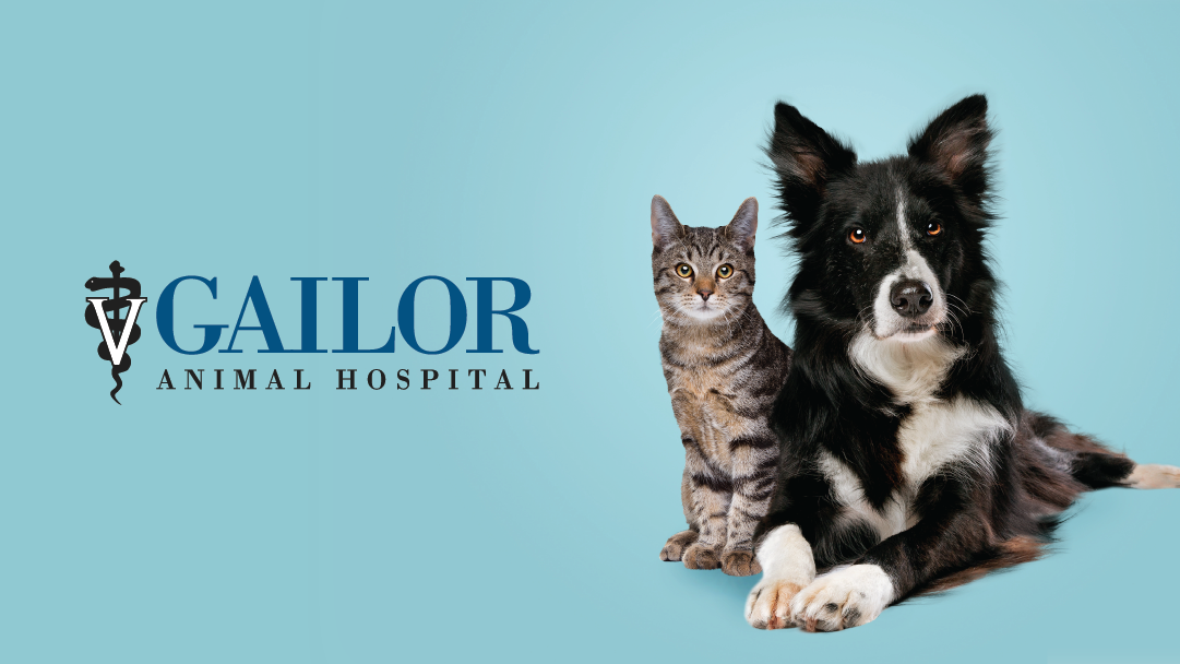 Gailor Animal Hospital