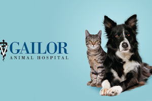 Gailor Animal Hospital image