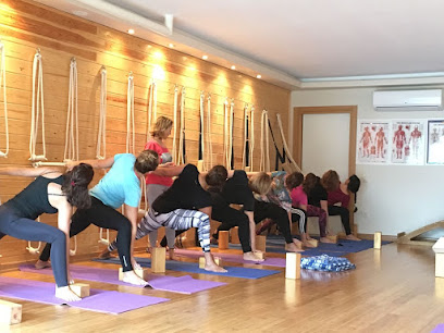 Bahçeşehir İstanbul Yoga Prana İyengar Metodu