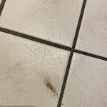 Photo n°1 de l'avis de Filo.e fait le 27/07/2023 à 06:41 sur le  Haus Berkenkamp à Lage