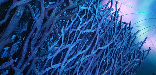 Skateboard Park «Action Park Grand Prairie», reviews and photos, 1002 Lone Star Pkwy, Grand Prairie, TX 75050, USA