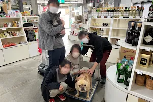 Fujimori Liquor Store image