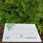 Photo n°2 de l'avis de Der.i fait le 20/07/2023 à 17:33 sur le  Hotel-Landgasthof Kreuz à Bad Waldsee