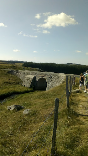 Point de vue sur l'Aubrac (chaussée des géants) à Marchastel