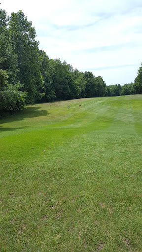 Golf Course «Pipestone Creek Golf Course», reviews and photos, 6768 Naomi Rd, Eau Claire, MI 49111, USA