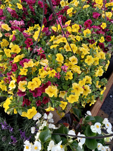 Home Improvement Store «The Home Depot», reviews and photos, 101 Towne Center Dr, Compton, CA 90220, USA