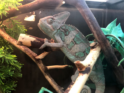 Pet Supply Store «PetSmart», reviews and photos, 4180 US-1, Monmouth Junction, NJ 08852, USA