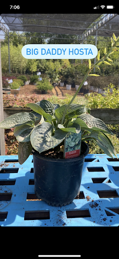 Landscaping Supply Store «Kirkwood Gardens», reviews and photos, 2701 Barrett Station Rd, Ballwin, MO 63021, USA