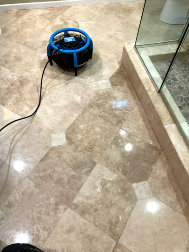 Approved carpet cleaning