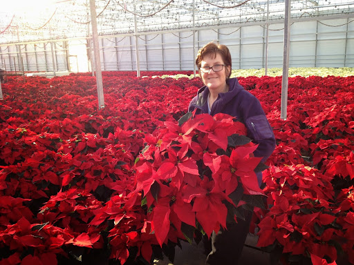 Florist «Village Flowers», reviews and photos, 28500 Miles Rd, Solon, OH 44139, USA